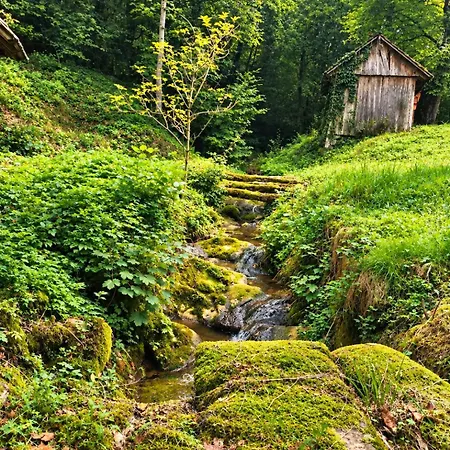 Boho Forest Retreat * Novo Mesto